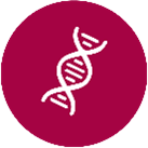 DNA icon